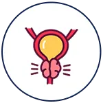 shrinks-swollen-prostate